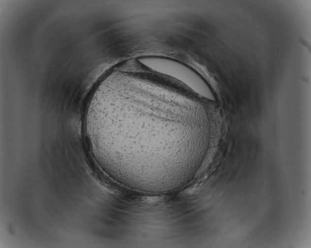 X0000091680060200709201247