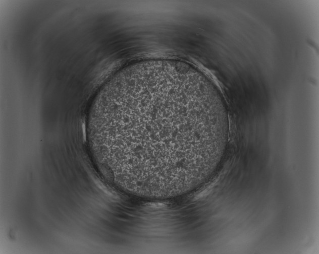 X0000091680061200709201247