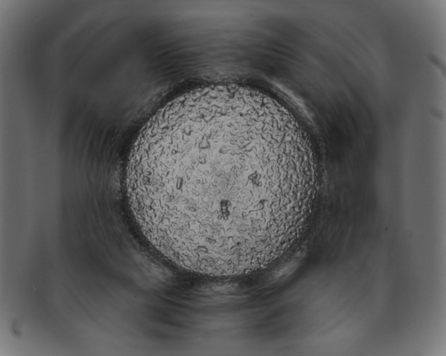 X0000091680065200709201247