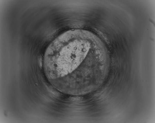 X0000091680069200709201247