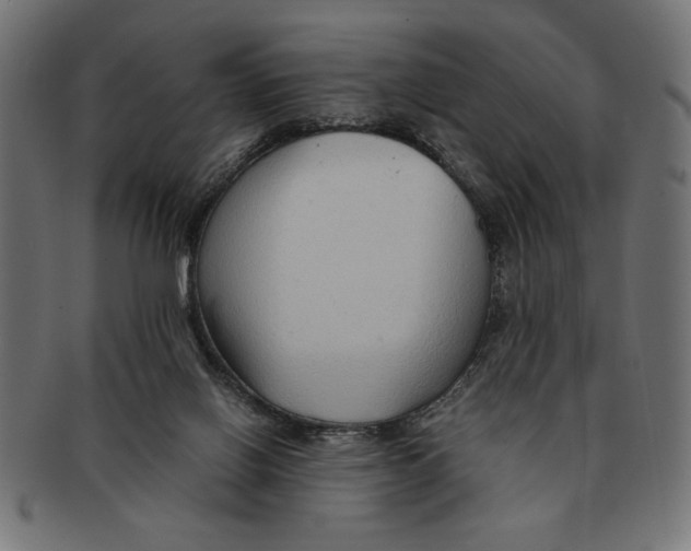 X0000091680070200709201247