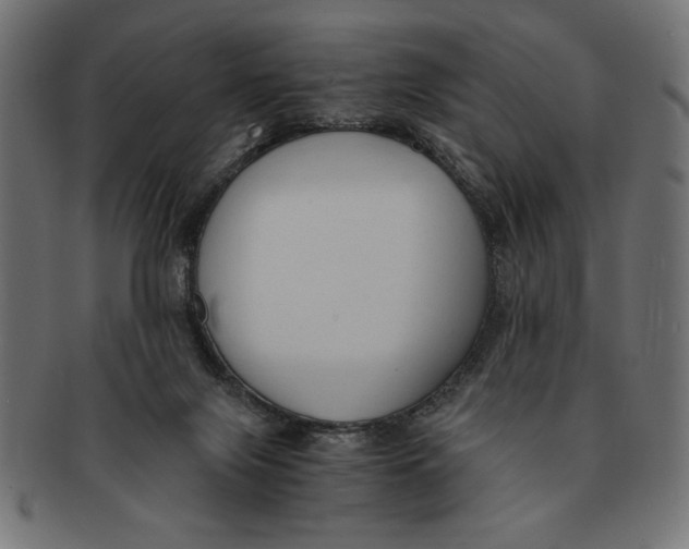 X0000091680071200709201247