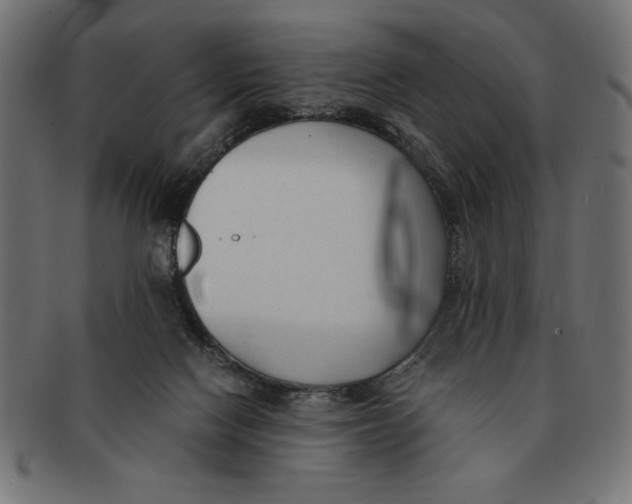 X0000091680074200709201247