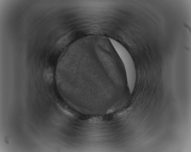 X0000091680080200709201247