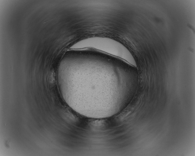 X0000091680081200709201247