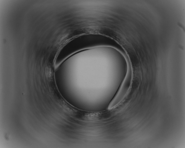 X0000091680084200709201247