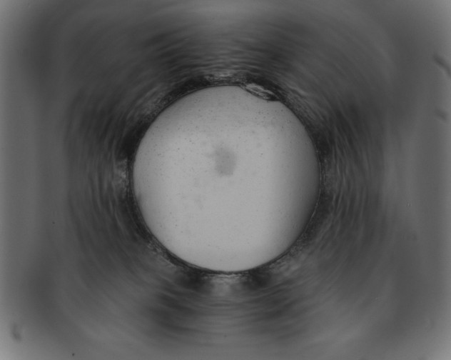 X0000091680085200709201247