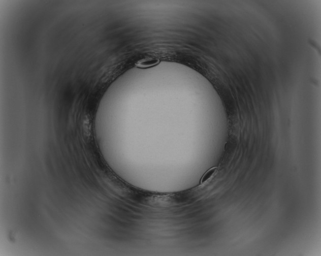 X0000091680086200709201247