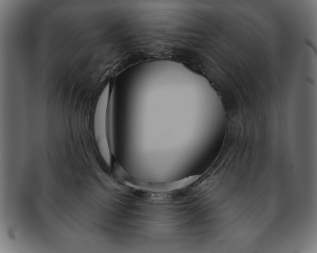 X0000091680088200709201247