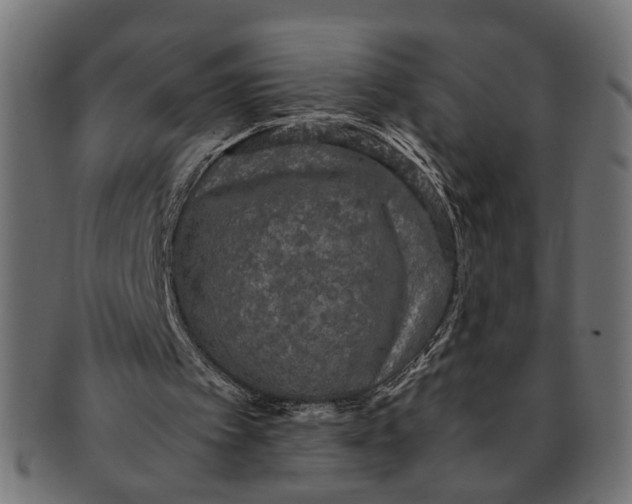 X0000091680097200709201247