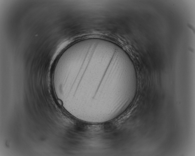 X0000091680102200709201247