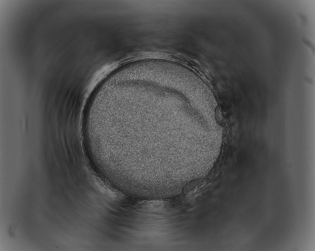 X0000091680104200709201247