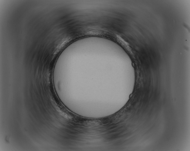 X0000091680106200709201247