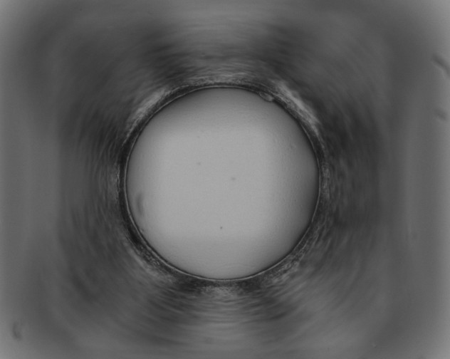 X0000091680107200709201247