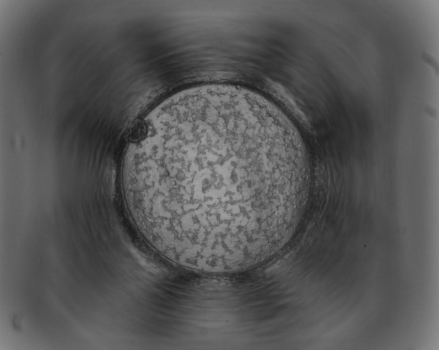 X0000091680110200709201246