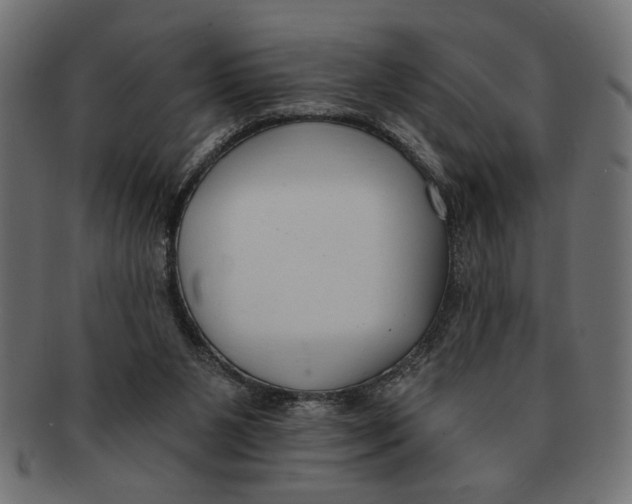 X0000091680111200709201246