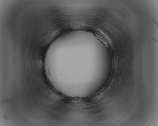 X0000091680113200709201246