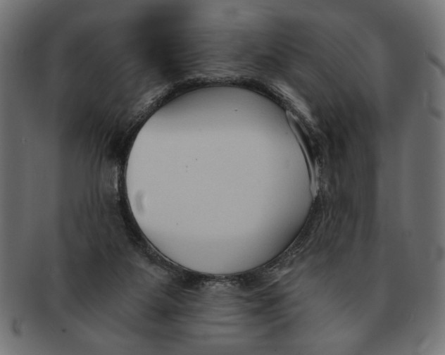 X0000091680115200709201246