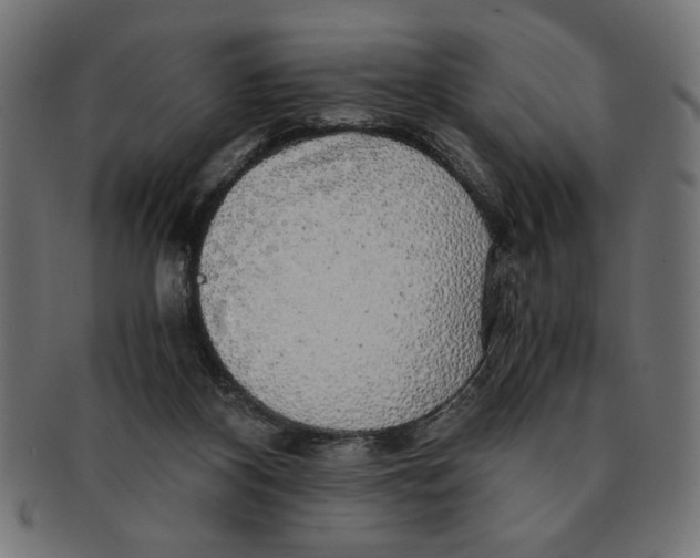 X0000091680116200709201246