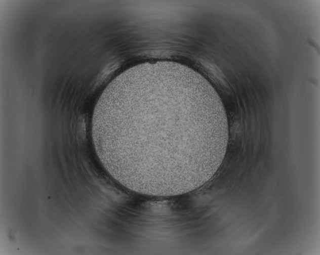 X0000091680120200709201246