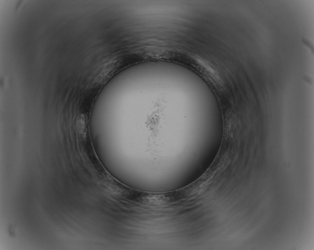 X0000091680121200709201246