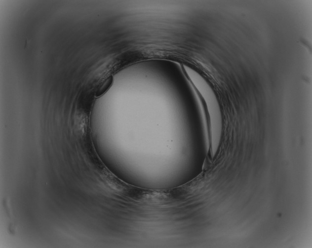 X0000091680125200709201246