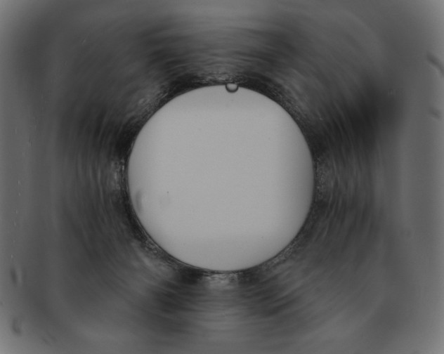 X0000091680126200709201246