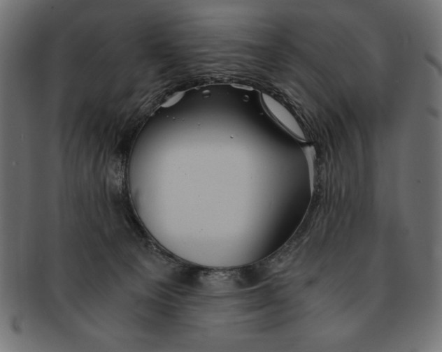 X0000091680129200709201246