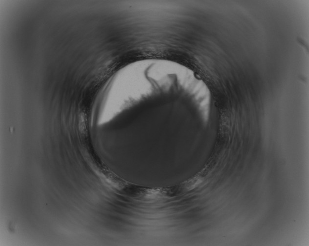 X0000091680130200709201246