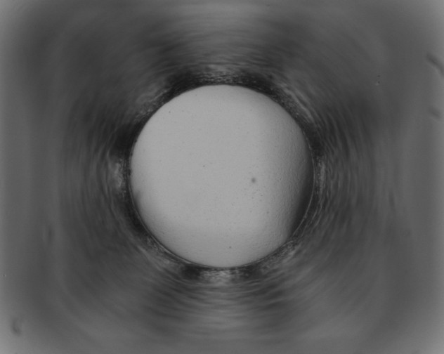 X0000091680131200709201246