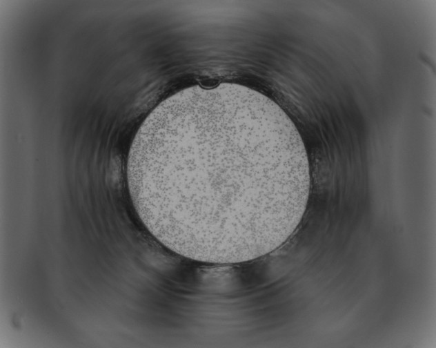 X0000091680132200709201246