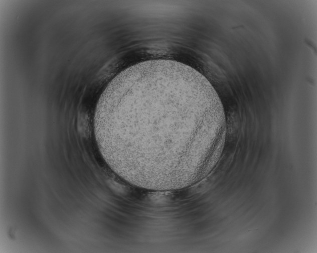 X0000091680136200709201246