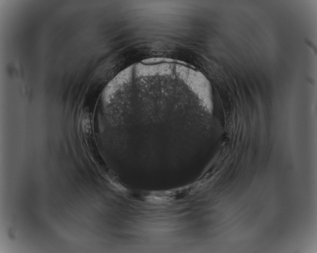 X0000091680137200709201246