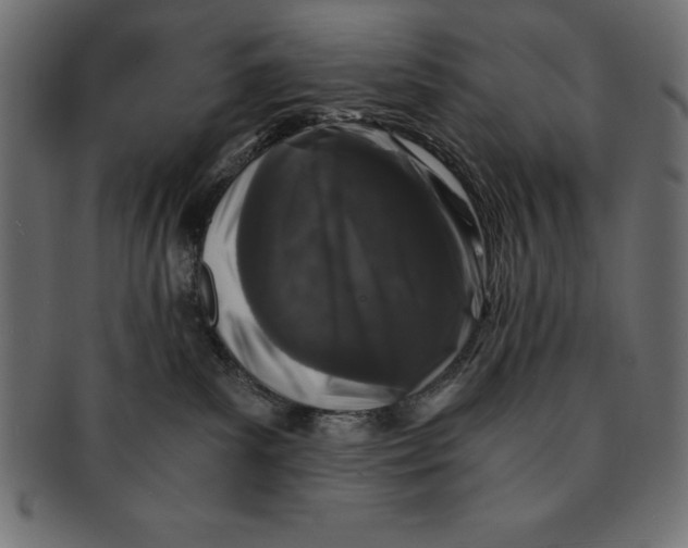 X0000091680139200709201246