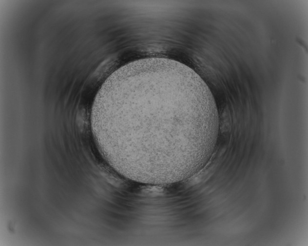 X0000091680140200709201246