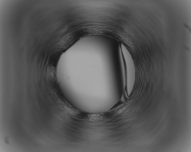 X0000091680141200709201246