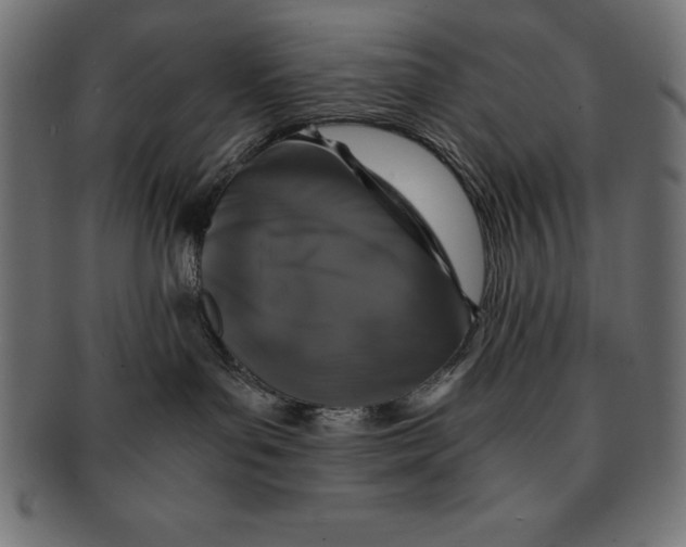 X0000091680143200709201246