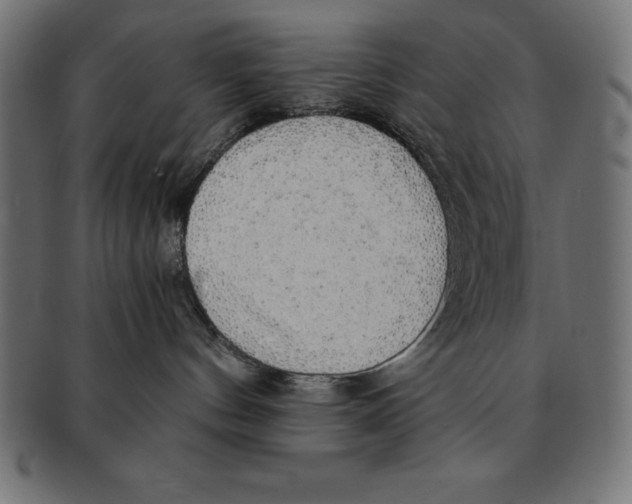 X0000091680144200709201246