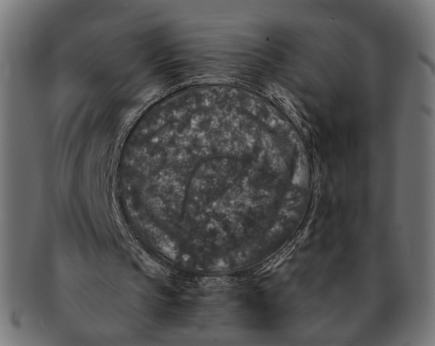 X0000091680145200709201245