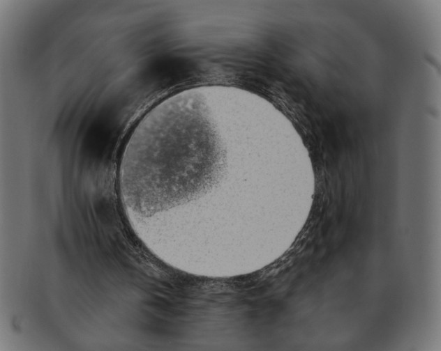 X0000091680146200709201245