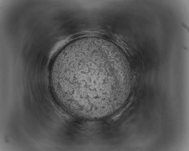 X0000091680149200709201245