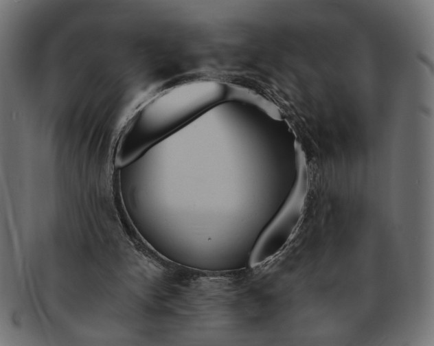 X0000091680150200709201245