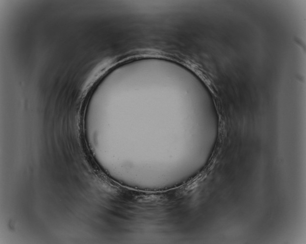 X0000091680151200709201245