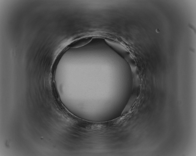 X0000091680152200709201245