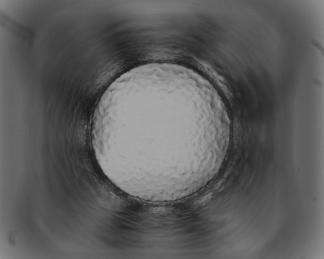 X0000091680153200709201245