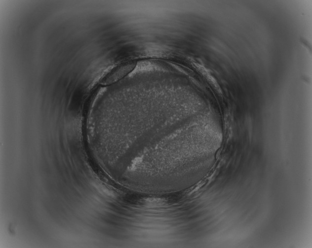 X0000091680154200709201245