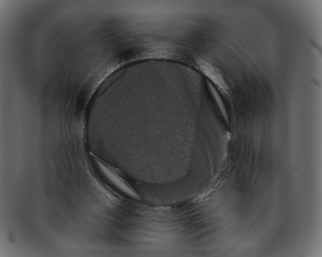 X0000091680156200709201245