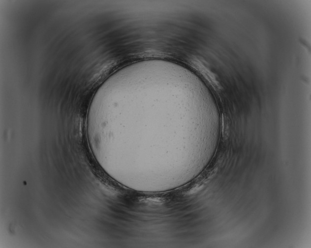 X0000091680157200709201245