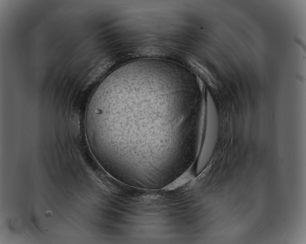 X0000091680158200709201246