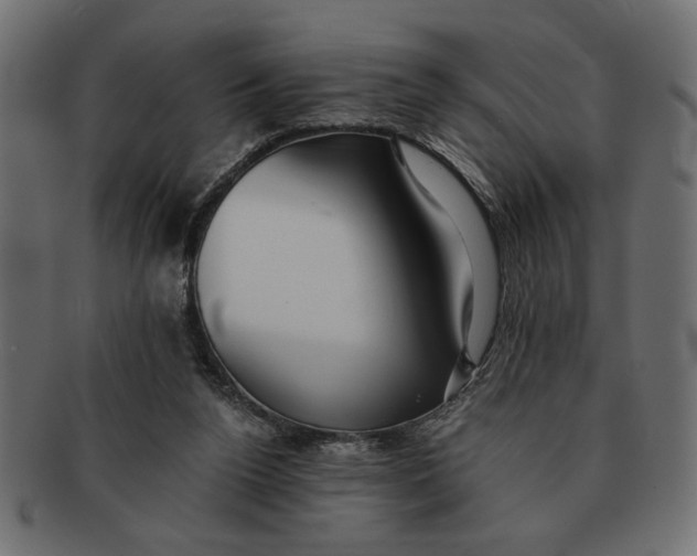 X0000091680160200709201246